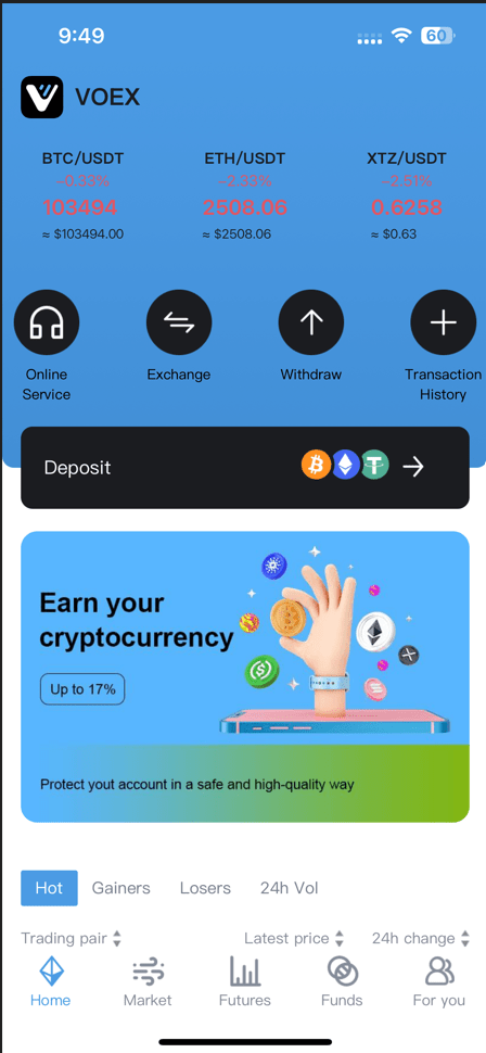 Screenshot of the homepage from the fraudulent platform VOEX